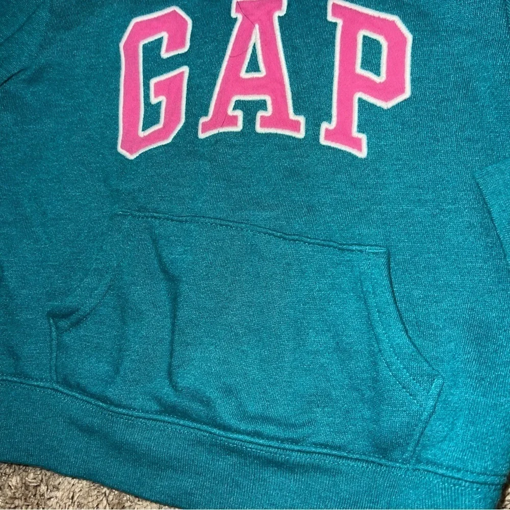 GAP Kids Turquoise and Pink Hoodie Size 2 Years